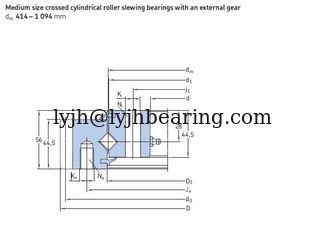 China RKS.161.16.1204 crossed roller Slewing bearing with external gear ,1119x1338x68 mm supplier