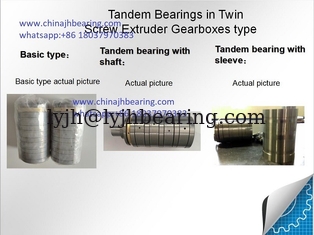 China Heavy Load Roller Bearing F-81661.T8AR For Twin Screw Extrusion Gearbox supplier