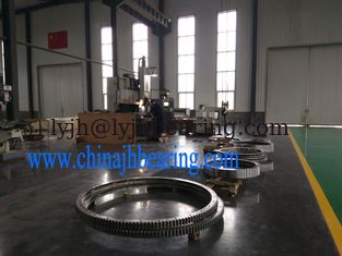 China RKS.21 0411 four-point contact ball slewing bearings,304x505x56mm,offer sample supplier