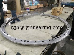 China Slewing ring turntable bearing RKS.060.25.1314 size 1399x1229x68mm without gear supplier