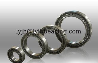 China SL182204 cylindrical roller bearing,no cage, GCr15 steel material supplier