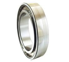 China NCF1844V cylindrical roller bearing supplier,size:220x270x24mm,GB/T283 Quality standard supplier