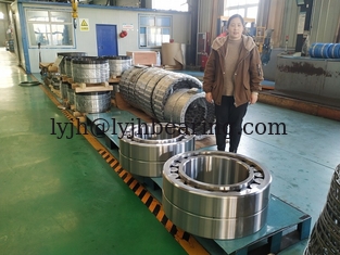 China Main Spindle Use NNU40/500MAW33 500x720x218mm For Paper Mill Machine supplier
