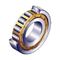 NJ 210 ECP single row cylindrical roller bearing,carbon steel material,  Good quality supplier